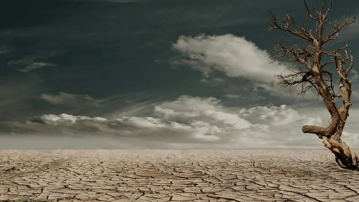 El Niño punta all'inverno 2026: modelli sempre più convinti su evento forte
