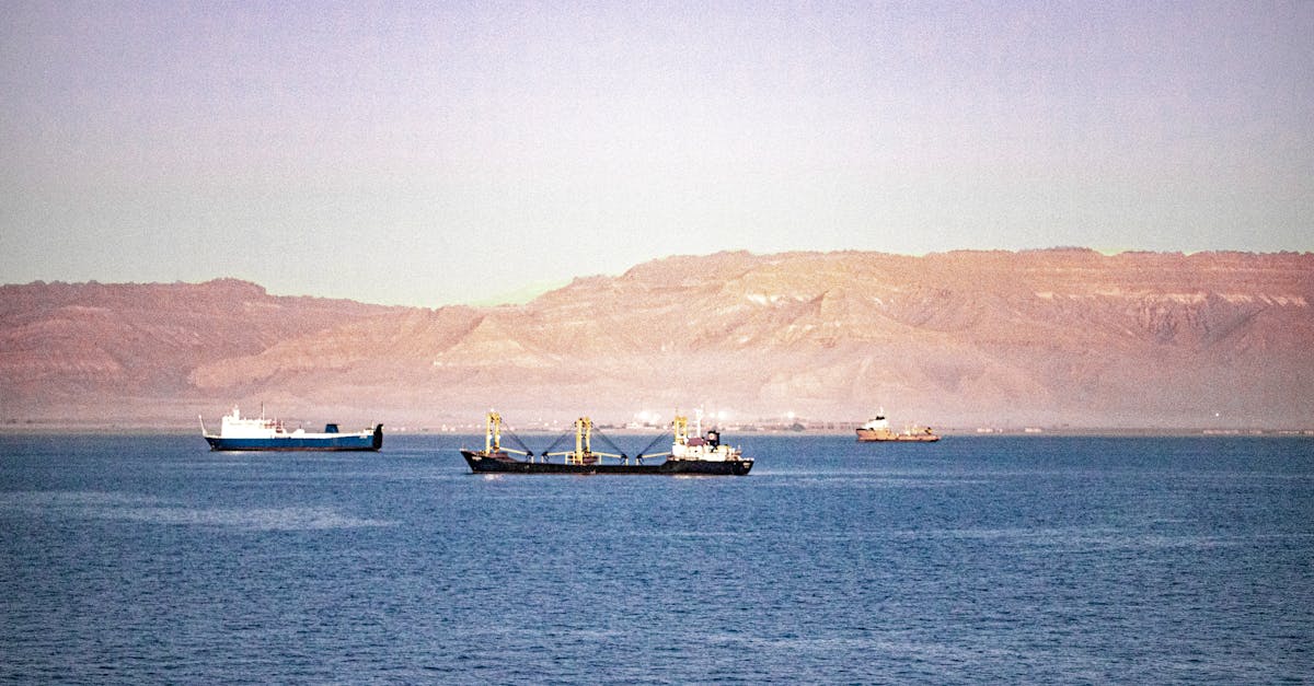 Stretto di Hormuz: snodo vitale di petrolio e gas