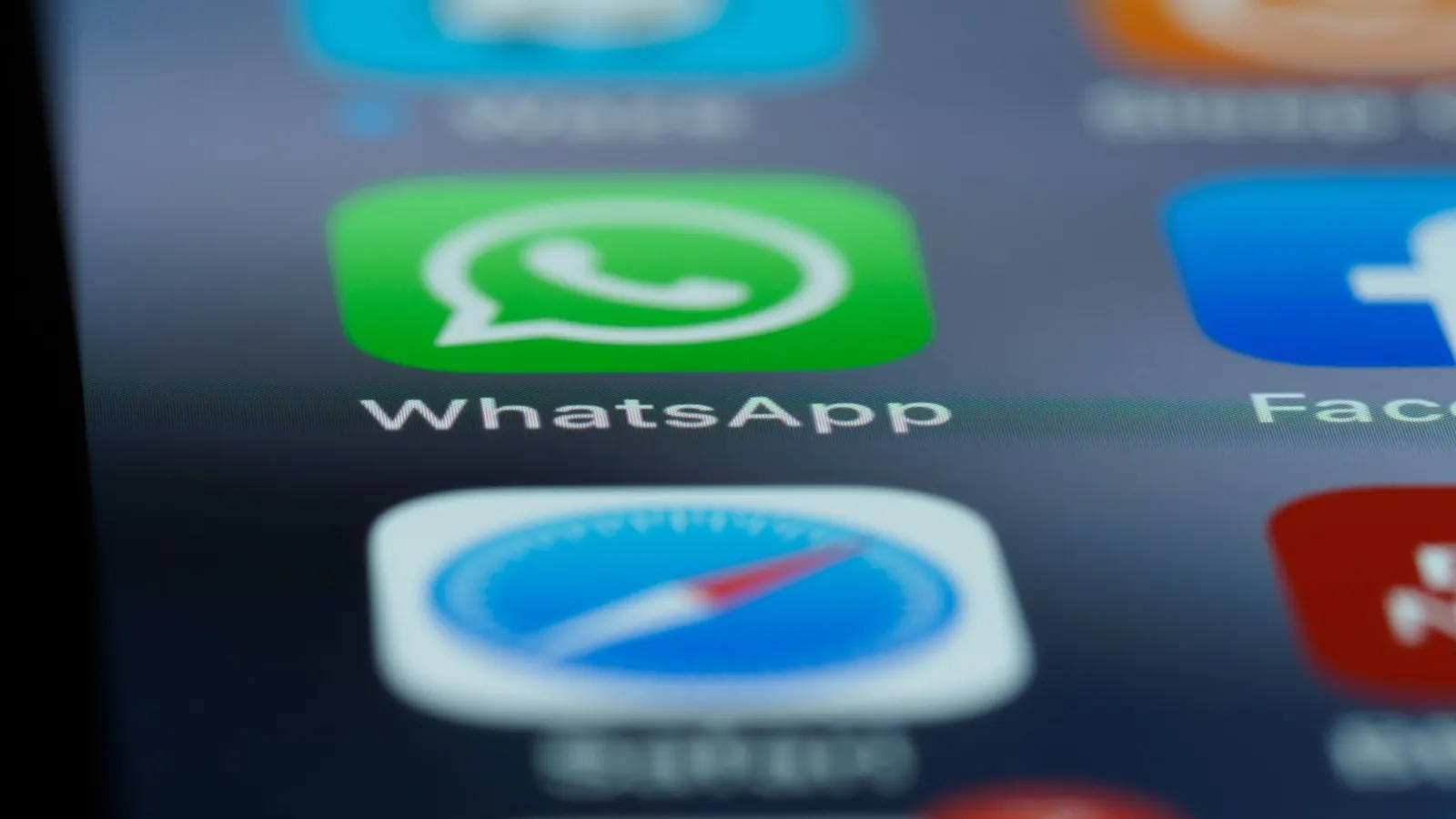 Copilot non funziona su WhatsApp: colpa non è solo di Meta